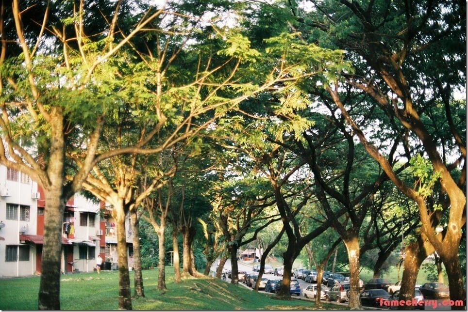 F1030032 F1030032